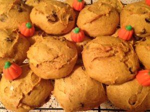 Erika's Pumpkin Chocolate Chip Cookies